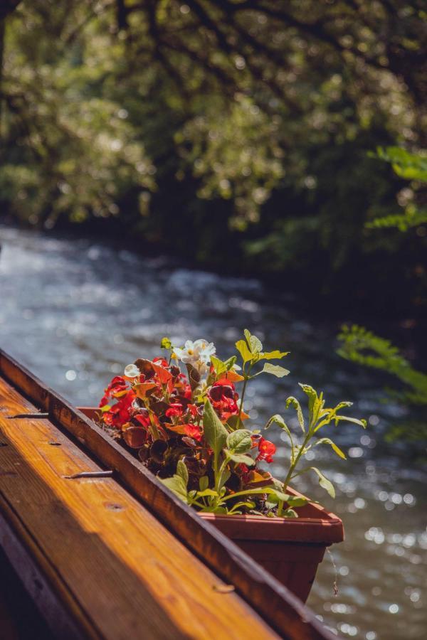 Rafting Kamp Dvije Vrbe Hotel Foca Buitenkant foto